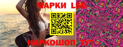 крисы Кунгур