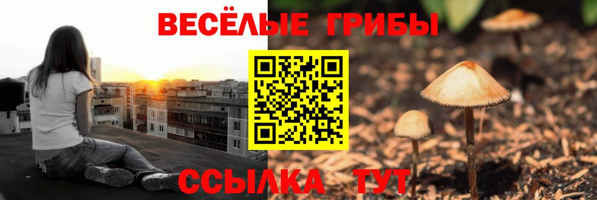 Псилоцибиновые грибы GOLDEN TEACHER Киржач